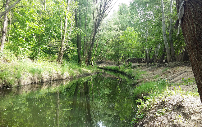 что ждет подземные и малые реки Киева